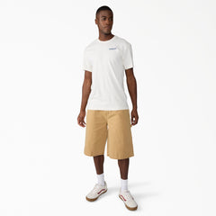 "Americana Logo Fill Graphic T-Shirt"