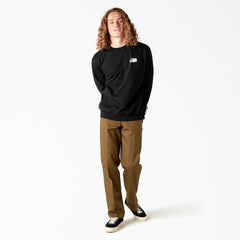 "Dickies Skateboarding Pool Drainage Graphic Sweatshirt"