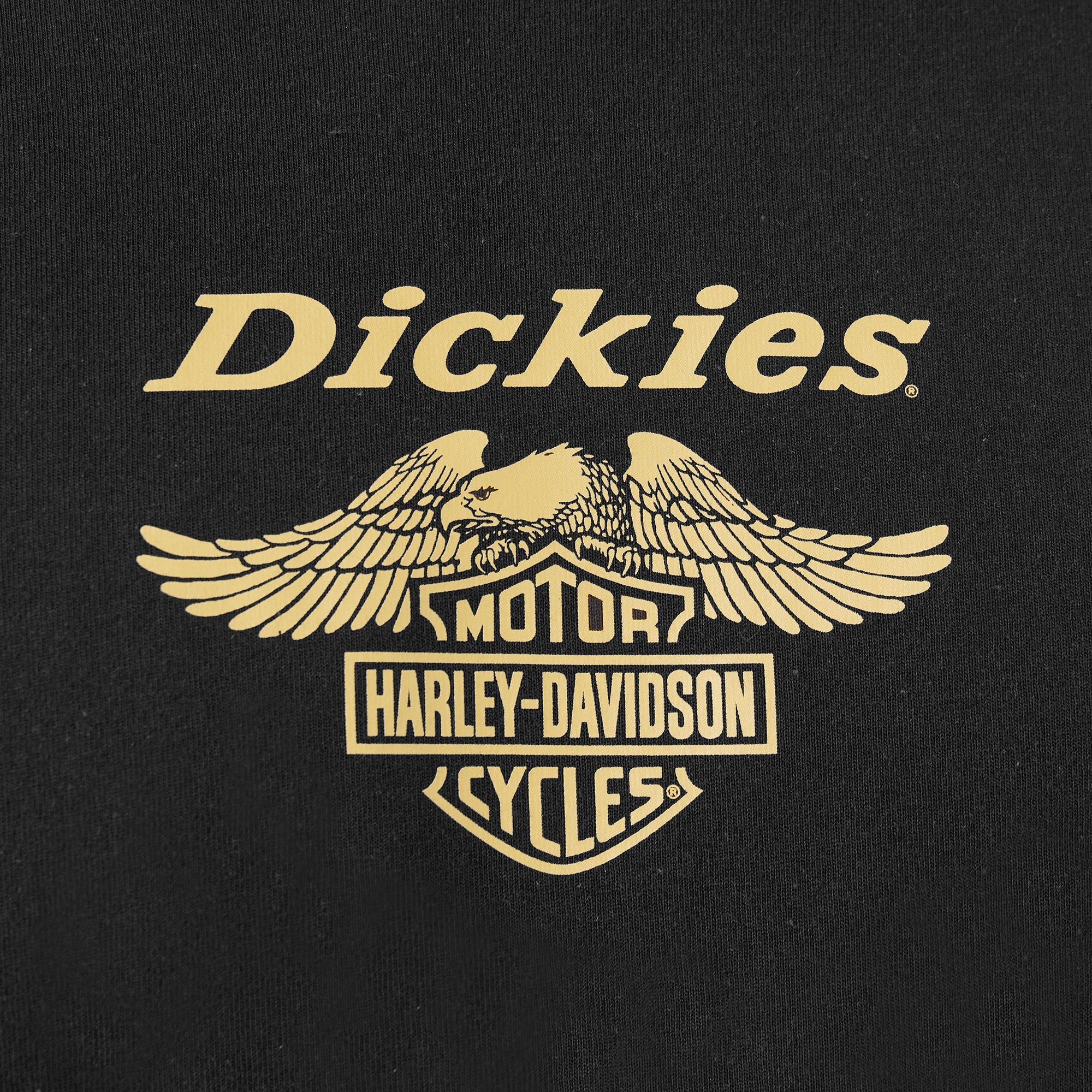 "Dickies x Harley-Davidson Heavyweight Long Sleeve Eagle Tee"