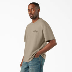"Decaturville T-Shirt"