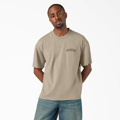 "Decaturville T-Shirt"