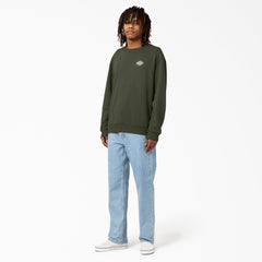 "Holtville Sweatshirt"