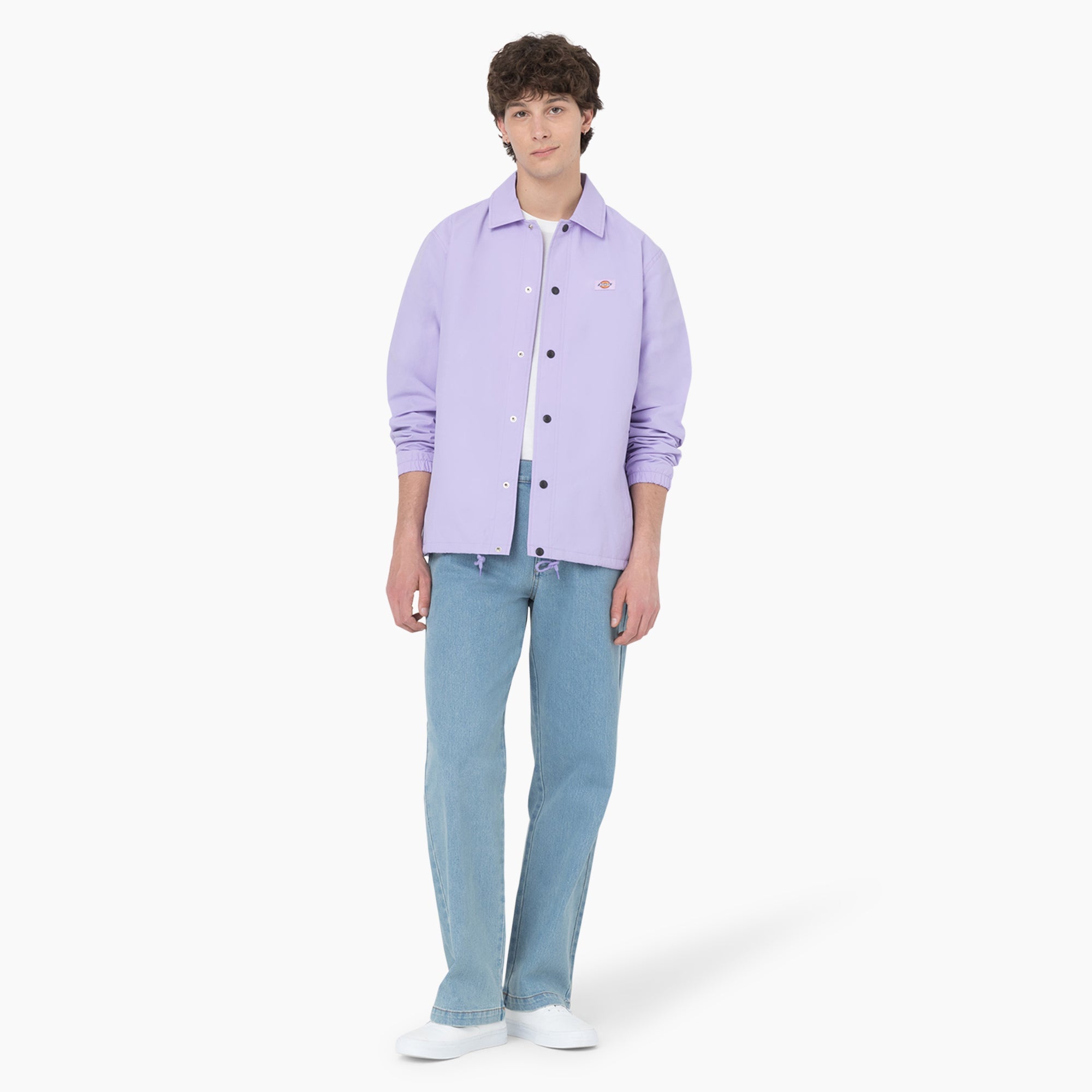 "Dickies Skateboarding Wingville Loose Fit Jeans"