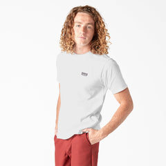 "Dickies Skateboarding Pool Drainage Graphic T-Shirt"